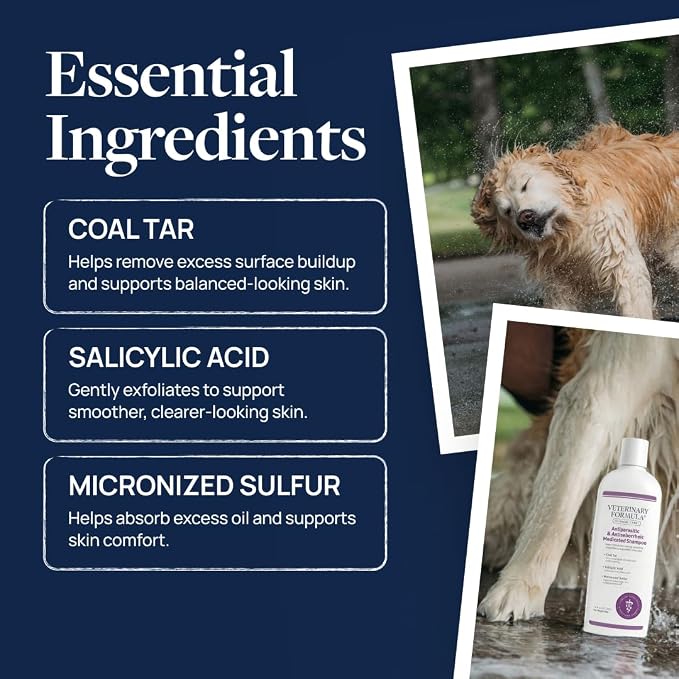 Veterinary Formula Clinical Care – Antiparasitic & Antiseborrheic Medicated Dog Shampoo – Supports Dry, Irritated Skin and Helps Soothe Occasional Itchy Spots – 16 oz - 2-Pack