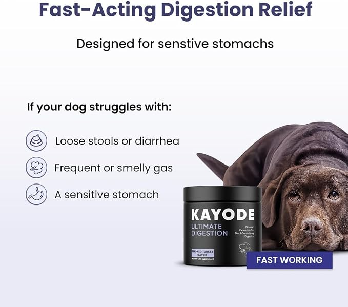 Kayode Ultimate Digestion. Fast Facting Anti Diarrhea for Dogs. Dog Fart Remedy & Dog Gas Relief. Natural Nutrients for Healthier, Firmer Stools. Pumpkin & Digestive Enzymes for Dogs.