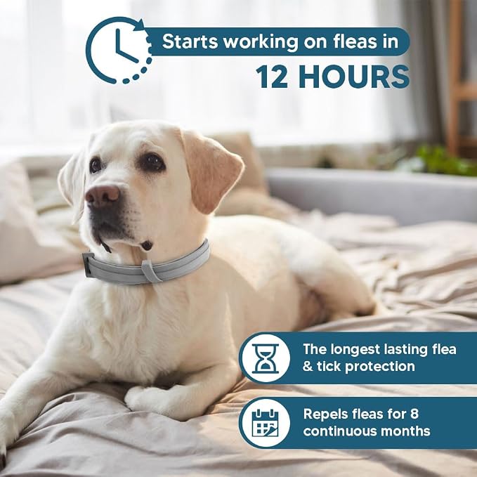 Flea Collars for Dogs, Flea & Tick Collar for Dogs, Tick Collar for Large Dogs, Comfort Fit for Sturdy Dog Tick Collar, Adjustable 8 Months Prevention-Pack of 2