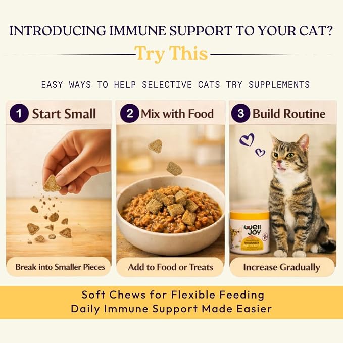 New! WellJoy Cat Supplement Immune+ GutBoost | Cat Health Supplement | with Lysine | Enhances Immune Response | Dual-Benefit Formula | Vet Formulated | Made in USA | Chicken Flavor | 90 Soft Chews