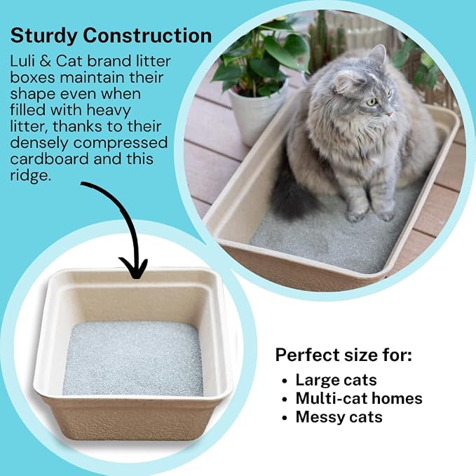 Luli & Cat Disposable Litter Boxes for Cats | Jumbo Sized 4-Pack | Durable and Water Resistant