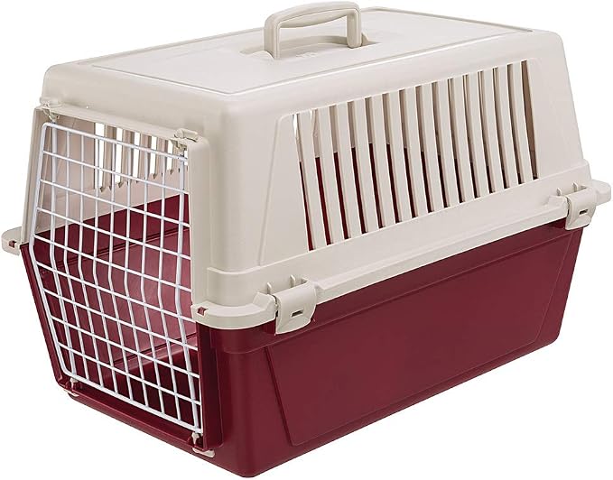 Ferplast Dog Carrier, Secure, Practical, Easy to Clean, Durable Medium Dog Travel Box Cage up to 15 Kg. 60 x 40 x h.38 cm. Green