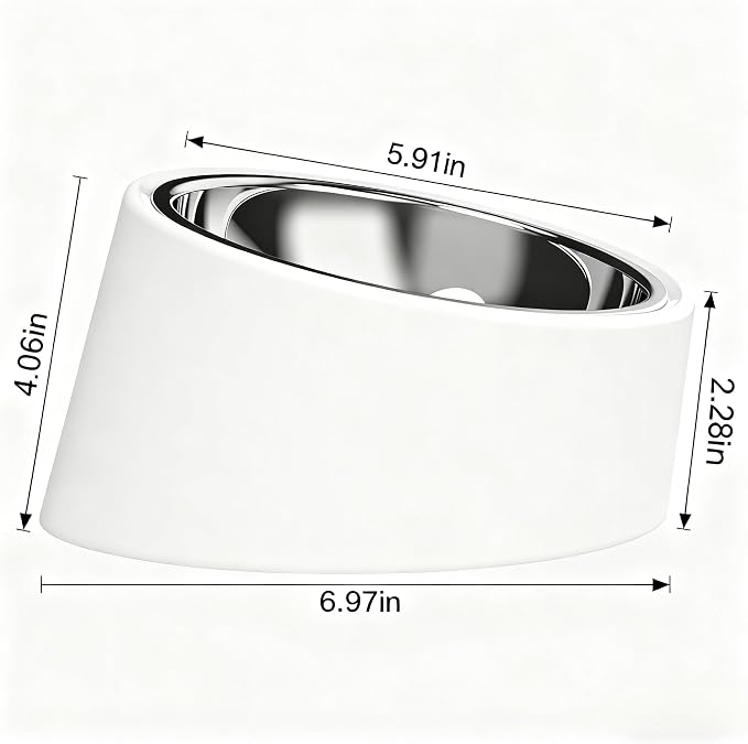15° Tilted Dog Bowl for Medium Breeds (Size M, White), Anti-Choke Stainless Steel Pet Bowl for Brachycephalic Dogs (Bulldog/Corgi), Non-Spill Detachable Feeder