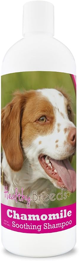 Healthy Breeds Brittany Chamomile Soothing Dog Shampoo 8 oz