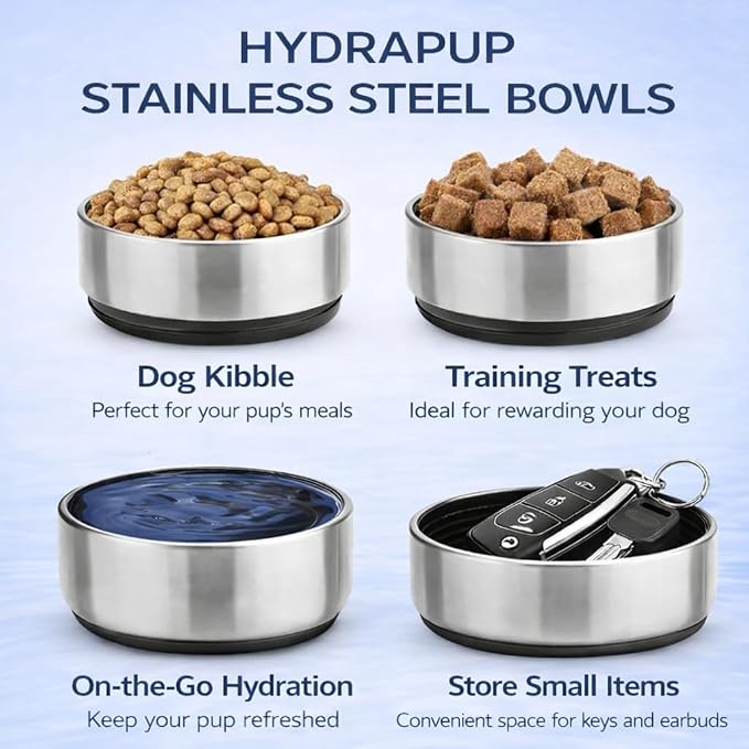 32oz Insulated Water Bottle with Dog Bowls – Human & Pet Shared Use, Stainless Steel Leakproof Travel Bottle (Sea Foam Blue)