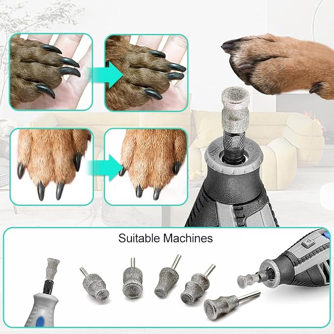 Dog Nail Grinder Bits - 1/8" Animal Diamond Rotary Bit for Dogs and Cats, Pet Nail Grinder Wheel Bits for Home Grooming Tools and Animal Nail Care