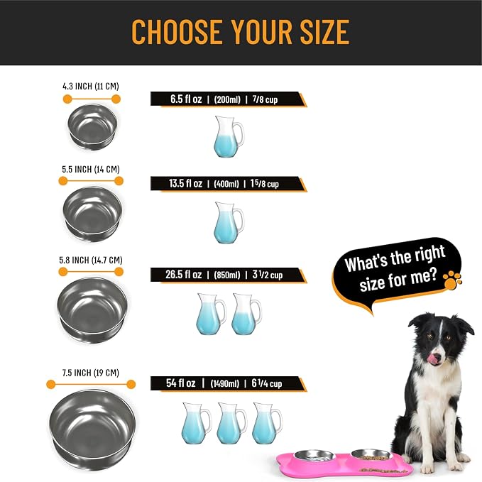 Active Pets Dog Bowl Set, Stainless Steel No Spill Mess-Proof Food & Water Food Bowls with Skid Resistant Silicone Mat, Dog Bowls Small Size Dog, Medium, & Large, Pet Puppy Bowls & Dog Dishes