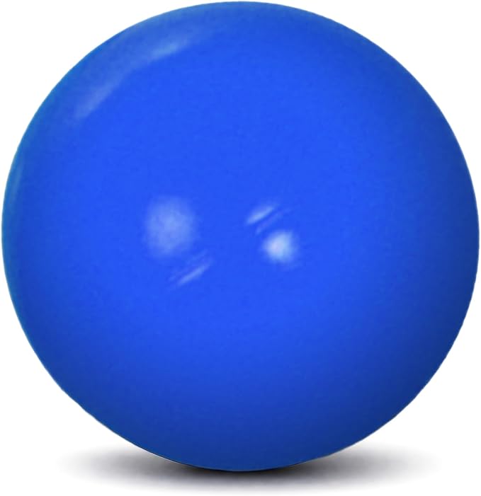 Doggie Dooley Virtually Indestructible Dog Ball - 4.5 Inch Hard Plastic Interactive Dog Toy for Large Breeds Over 1-30 lbs -Built for Herding & Push Play -Floats in Water, Made in USA -Colors May Vary