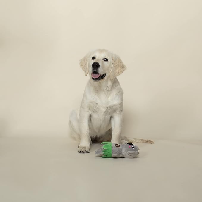 Fringe Studio Plush Dog Toy, Shake Your Palm Palms (289876) (Pack of 2)