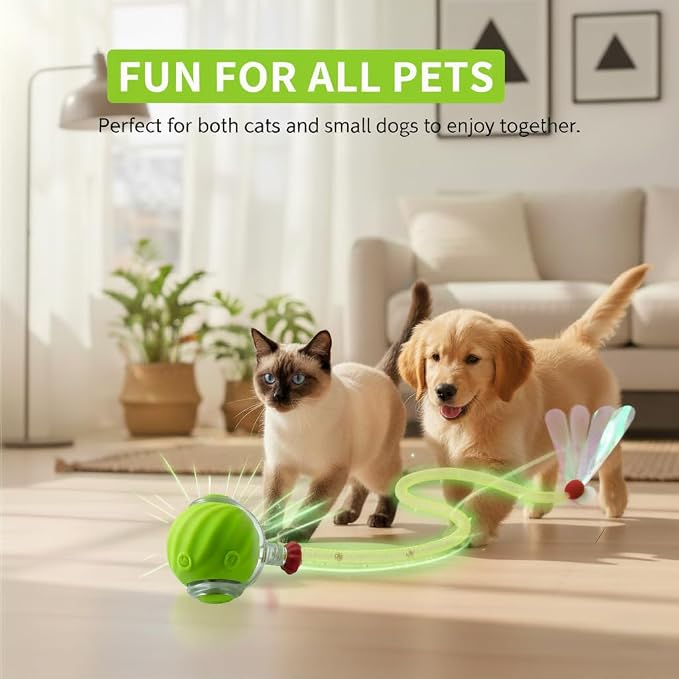 Cat Toys for Indoor Cats – Automatic Kitten Interactive Toy with Speedy Ball Tail as Pet Mental Stimulation - Kittens Small Dogs and Bored Adult Dog Balls to Keep Them Busy 2026 (Green Ball)