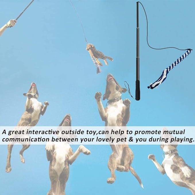 Flirt Pole for Dogs, Interactive Teaser Wand with 1 Fleece Rope Toy for Chase and Tug of War, Durable for Large & Medium Dogs, Interactive Exercise Game in Yard Park