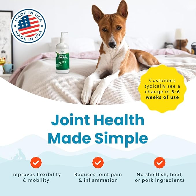 Paramount Pet Health Plant-Based Liquid Glucosamine for Dogs, 1600mg Joint Support Chondroitin, MSM & Omega 3-6-9, Shellfish-Free Dog Arthritis Supplement for Mobility & Flexibility Made in USA 16 oz