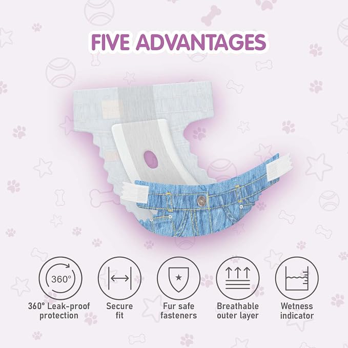 COCOYO Disposable Female Dog Diapers, Super Absorbent, Breathable, Wetness Indicator, Large, 60 Count