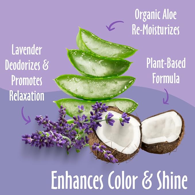 earthbath, Lavender Dog Shampoo - Coat Brightening Shampoo for Dogs, Deodorizing Dog Wash, Made in USA, Shampoo for Smelly Dogs, Cruelty Free Pet Shampoos - 128 Oz (1 Pack)