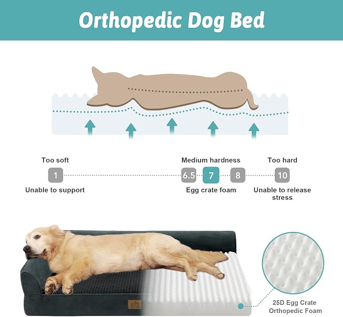 COZY KISS Orthopedic Dog Bed for Large Medium Size Dog, Dogs Crate Bed, L Shaped Foam Anti-Slip Bottom Pet Cat Sofa with Washable Removable Cover, Suitable for Pet Up to 75 lbs, 36x27x6.5 inch, Black