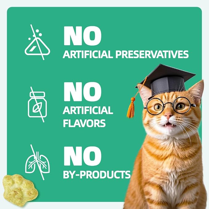 Wellix 13.05oz Catnip Treats for Cats -Healthy Cat Treats for Indoor Cat with Digestive Support - Crunchy Kitten Snacks for Training Biscuits,Food Toppers,Dental Chews with Real Salmon