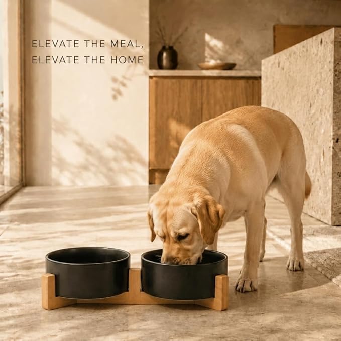 SPUNKYJUNKY Ceramic Dog and Cat Bowl Set with Wooden Stand, Modern Cute Weighted Food Water Bowl Set for Medium to Large Size Dogs (42 OZ, 2 × Black)