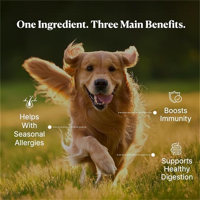 Colostrum for Dogs - 25% IgG Whole Bovine Colostrum Powder Supports Immune & Gut - Digestive Health, Allergy, Skin & Itch Relief - No Fillers, Grass-Fed USA Sourced – 60g (~120 Scoops)