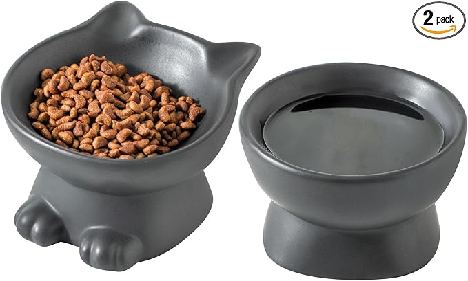 Nihow Elevated Cat/Dog Bowls Set : 5 Inch Ceramic Raised Cat Food and Water Bowl Set for Protecting Pet's Spine - Feeding & Watering Supplies for Pets- Matte Black (2PC)