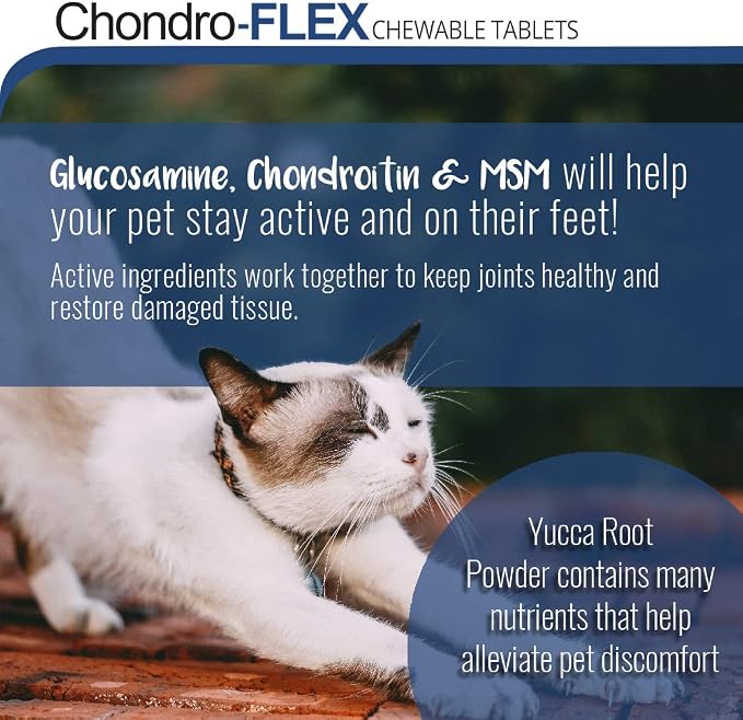 Chondro-Flex Joint Supplement for Dogs & Cats - Glucosamine, Chondroitin, MSM & Ester-C Formula - Supports Hip & Joint Health, Mobility & Cartilage Support - 180 Chewable Tablets