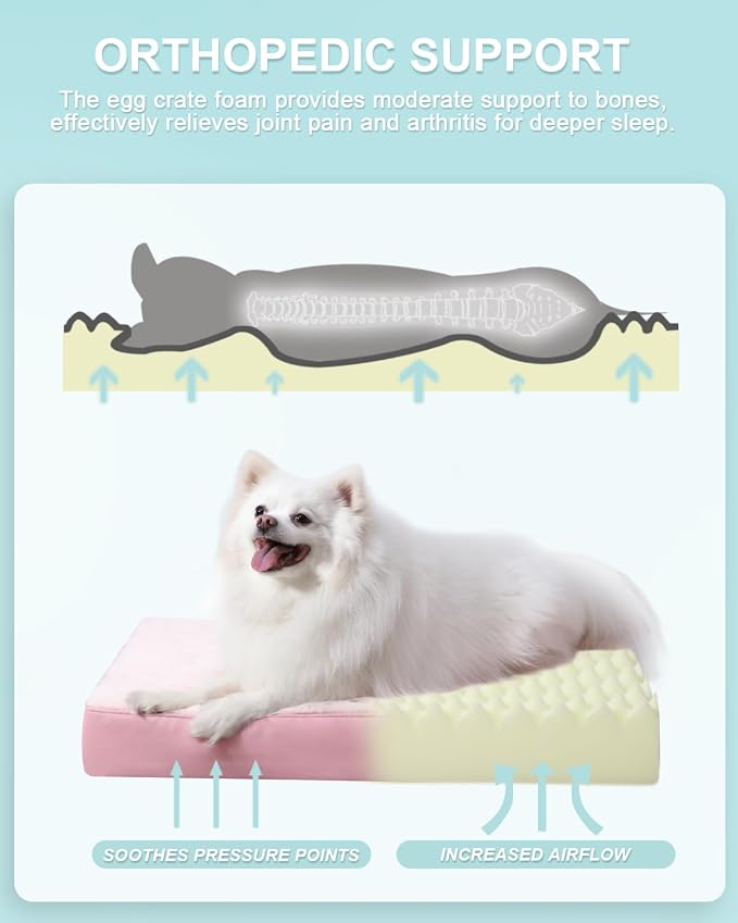 KSIIA Orthopedic Dog Bed Waterproof Pet Bed for Small Dogs Deluxe Plush Washable Dog Bed with Egg Crate Foam & Removable Cover, 23 x 17 Inch, Pink
