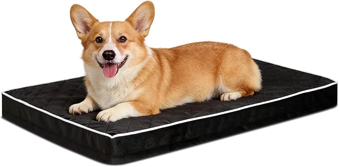 NUPIDA Orthopedic Dog Beds Large Sized Dog Waterproof Pet Kennel Pad with Removable Washable Cover and Non-Slip Bottom, 35x23 Inch, Black