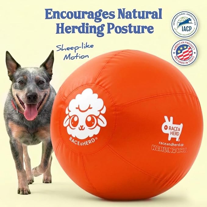 Race&Herd 25" Original XXL Best Herding Ball for Dogs Large - Herding Toys, Durable Outdoor Dog Herding Ball for Australian Shepherd, Corgis, Border Collie Ball - Medium to Large Breeds (Tangerine)