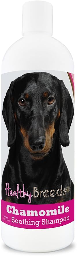 Healthy Breeds Dachshund Chamomile Soothing Dog Shampoo 8 oz