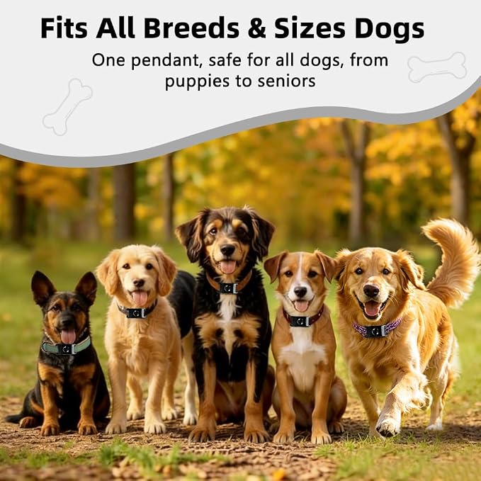 Natural Flea and Tick Prevention Pendant for Dogs Flea and Tick Collar, Waterproof Flea and Tick Repellent Dog Tag Safe for All Breeds & Sizes with 2 Silicone Buckles & 4 Refills, COLLAR NOT INCLUDED
