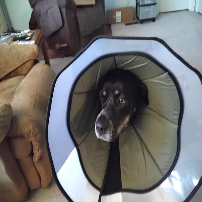 Stop Licking Protective Collar Wounds Dog Collar Health Medicals for Large Media Canines Post Surgeries Dog