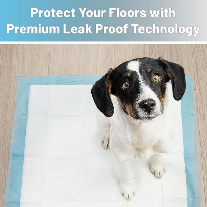 Pet Training Pads, 50 Count Size Medium 18" x 24" Puppy Pads, Absorbent Disposable Pee Pads for Dogs and Puppies (Medium 18x24 inch Pads)