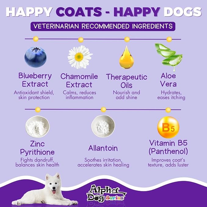 Bright White Shampoo and Conditioner Set with Aloe Vera pH Balanced Dog Grooming Shampoo and Conditioner for Dogs, Tear-Free Moisturizing Dog Shampoo, 26.4 Oz (Pack of 6)
