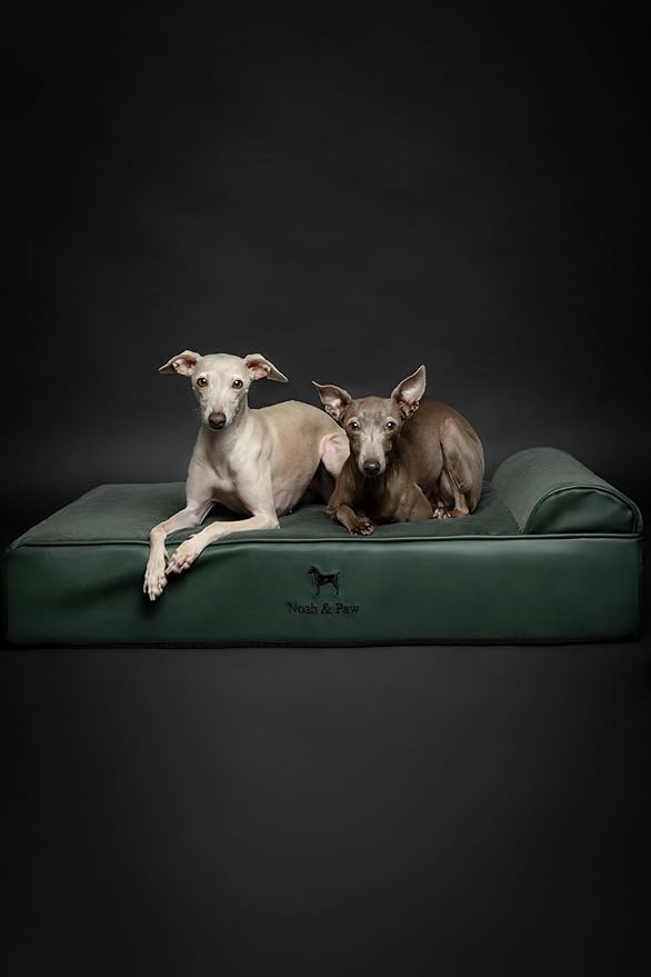 NOAH & PAW Large Dog Bed, 35x25x8.7 Inch, Orthopedic Dog Beds, Eggshell Memory Foam Infused with Cooling Gel, Water Resistant, Machine Washable, Includes Inner Cover (Faux Leather)