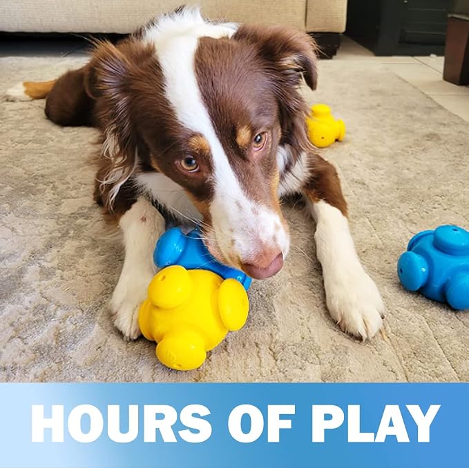 HOUNDGAMES Dog Puzzles for Smart Dogs, Interactive, Puzzle Treats, Puppy Puzzle, Toys to Keep Them Busy, Cognitive Dog Games, Toys for Bored Dogs, Advanced Puzzles, Boredom Busters (6 Pieces)