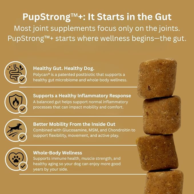 Pupstrong™+ Hip & Joint Support Soft Chews for Dogs – Powered by Polycan® Postbiotic – Supports Gut Health, Mobility, Joint Flexibility, Immune Health & Healthy Aging – 120 Chews