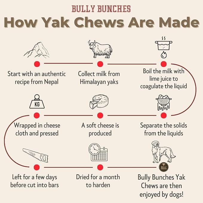 Bully Bunches Medium Authentic Yak Cheese Himalayan Chews for Medium & Small Dogs - All Natural Dog Treat Dental Chews, Made with Real Yak Milk - Lactose & Rawhide Free (2 Pk)