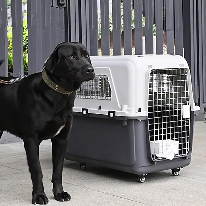 Large Dog Crate Dogs Kennel Length 33in/Width 21.6in/Height 25.2in Dog Carrier with Handle & Metal Door Travel Pet Box for Puppies Kittens