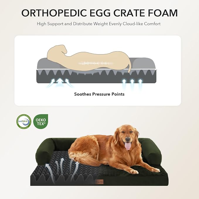 Orthopedic Dog Beds for Large Medium Sized Dogs, Waterproof Egg Crate Foam Large Dog Couch Beds with Comfy Bolster 36x27Inch, Washable Pet Beds with Removable Cover, Olive Green
