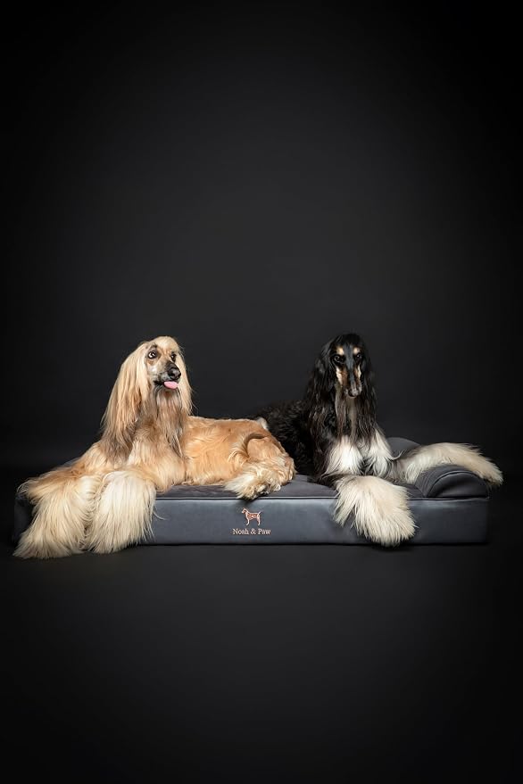 NOAH & PAW Giant Dog Bed XXL 55x45x9.5 Inch, Orthopedic Dog Beds, Eggshell Memory Foam Infused with Cooling Gel, Water Resistant, Machine Washable, Includes Inner Cover (Faux Leather)