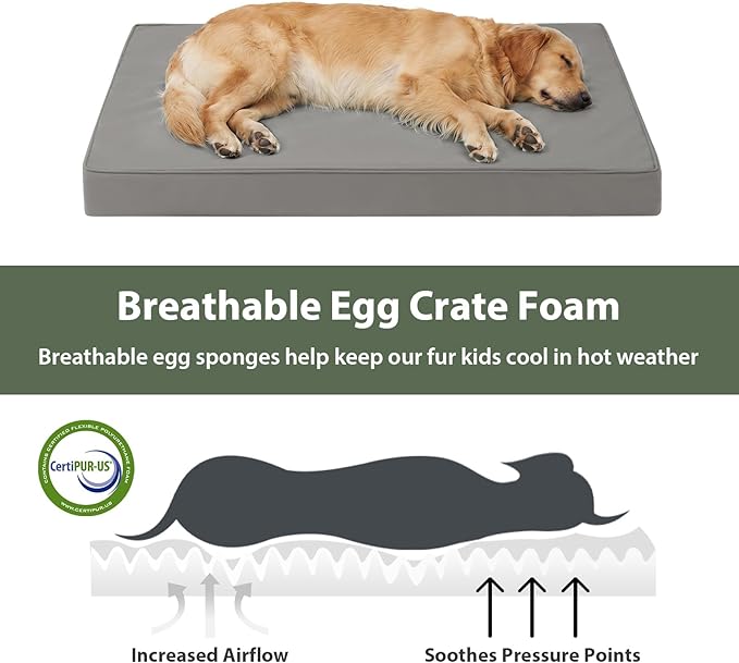 WNPETHOME Outdoor Dog Bed Waterproof, Large Outdoor Dog Bed for Large Sized Dog, Outdoor Indoor Dog Bed with Removable Washable Cover, Egg Crate Foam Dog Crate Mat, Durable Waterproof Dog Bed, Grey