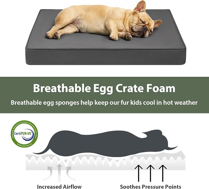 WNPETHOME Outdoor Dog Bed Waterproof, Large Outdoor Dog Bed for Large Sized Dog, Outdoor Indoor Dog Bed with Removable Washable Cover, Egg Crate Foam Dog Crate Mat, Durable Waterproof Dog Bed