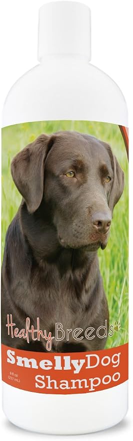 Healthy Breeds Labrador Retriever Smelly Dog Baking Soda Shampoo 8 oz
