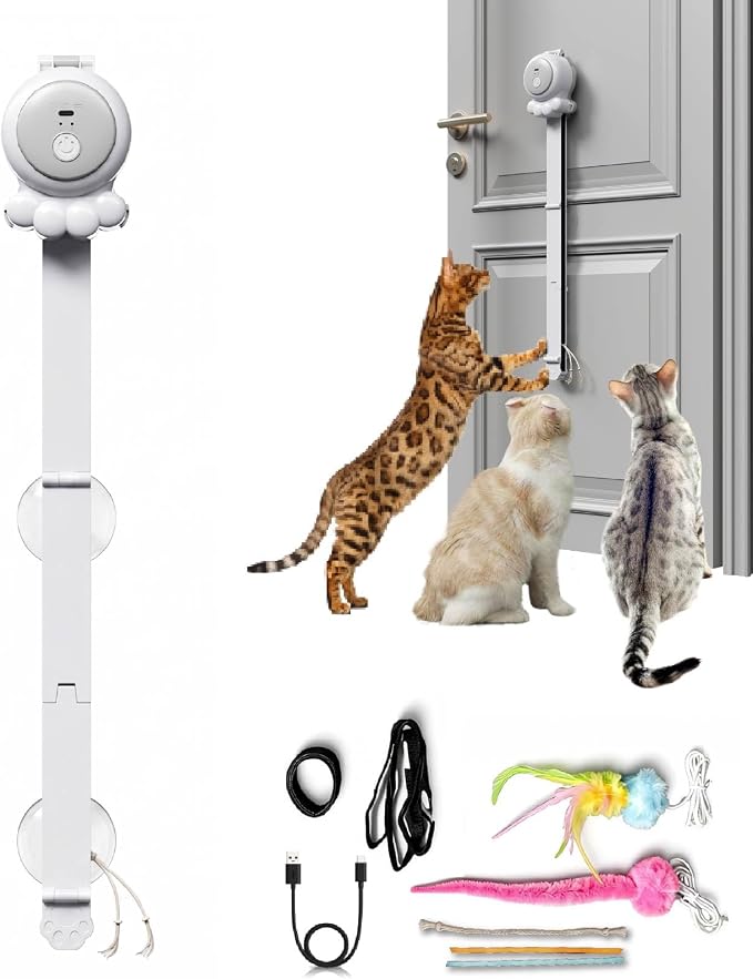 2-in-1 Electric Cat Wand – Rechargeable Auto Indoor Toy, Suction & Hanging Design, 2 Modes (Track Chase + Bounce),Perfect for Kittens & Adult Cats, Ultimate Cat Gift