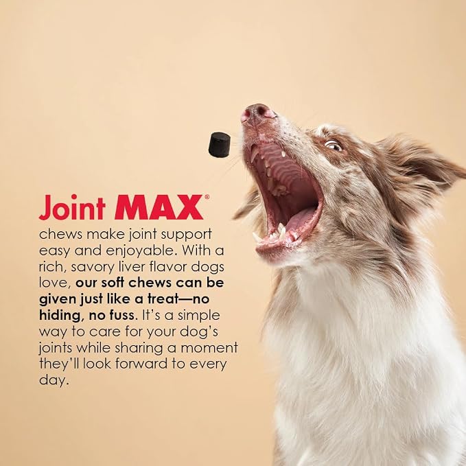 Double Strength Soft Chews (120 Chews)