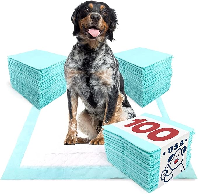 ValuePad USA Plus Puppy Pads, Large 28x30 Inch, 100 Count Bulk Pack - Premium Puppy Pee Pads for Dogs, Tear Resistant, Super Absorbent Polymer Gel Core, 5-Layer Design