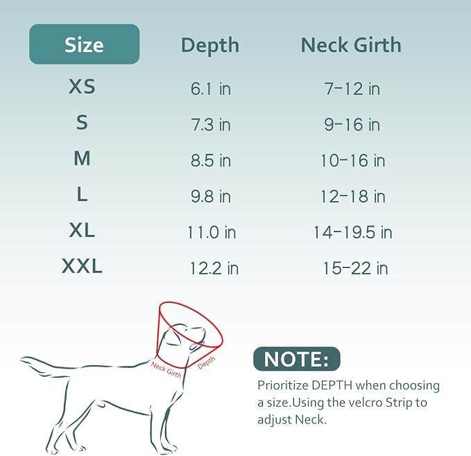 Dog Cone Collar with Snap-on Detachable Soft Liner, Lightweight Transparent Elizabethan Alternative to Stop Licking, for Spay Neuter Surgery Recovery, for Medium Large Small Dogs (Green,XS)