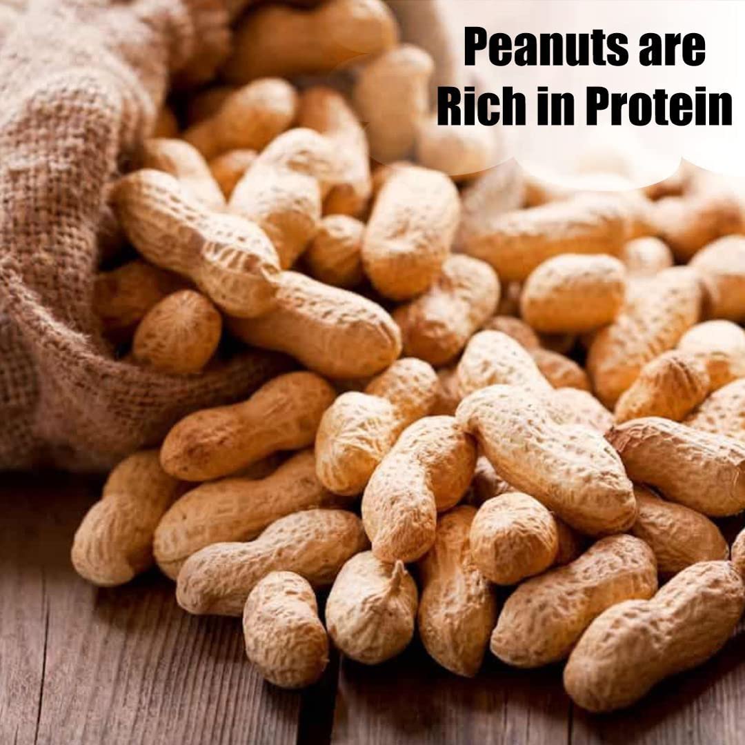 Wildlife in-Shell Peanuts, 25 lbs for Birds, Squirrels, and Wildlife. USA Grown Non-GMO, Organic Small Farm, Raw in-Shell Peanuts. Wildlife Grade, 25 lbs.