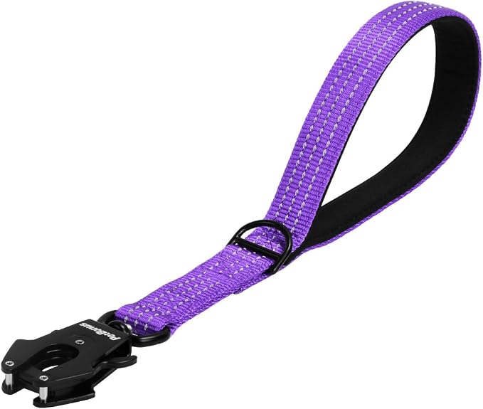 PetBonus Heavy Duty 12 Inch Short Dog Leash and 2-Pack Large Silicone Collapsible Dog Bowls