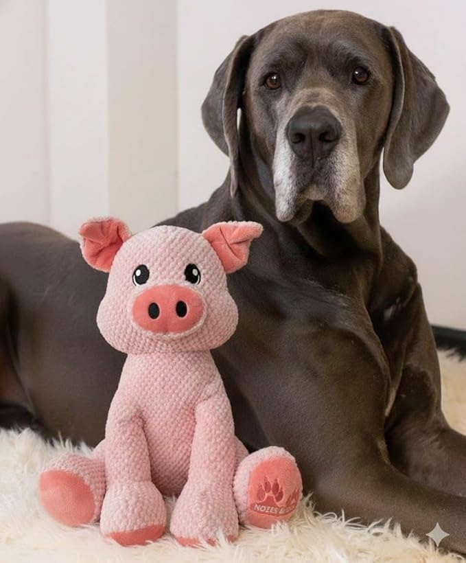 NOZES & TOZES Plush Pig Dog Toy | Dog stuffies for Large Dogs Dog Enrichment Toys for Large Dogs | Dog Toys Without Squeakers- Pink