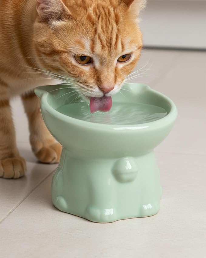 Ceramic Elevated Cat Bowls, 4 Pack 5 Oz Whisker Friendly Cat Bowls Cats Food Bowl Cats Food Dishes for Cats, Small Dog, Kitten, Microwave & Dishwasher Safe, 5.1 x 4.3 inch